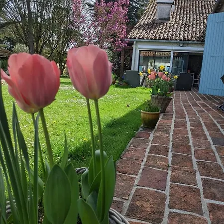 Domaine Du Tafiart Bed & Breakfast Sarron