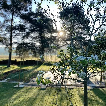 Domaine Du Tafiart