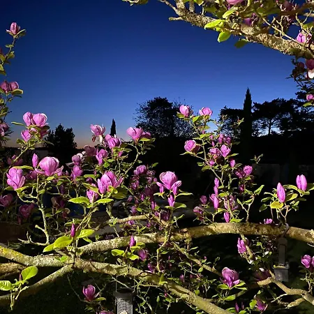 Bed & Breakfast Domaine Du Tafiart 4*