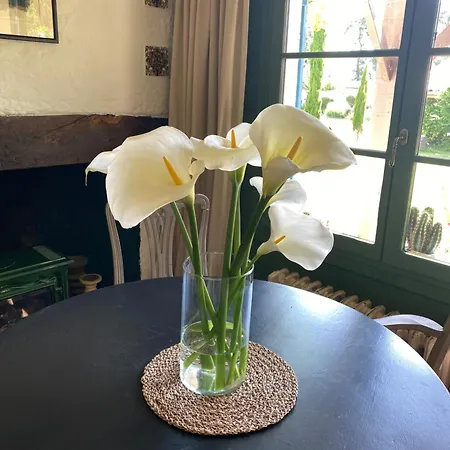 Bed & Breakfast Domaine Du Tafiart 4*
