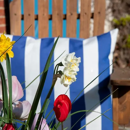 Domaine Du Tafiart Bed & Breakfast Sarron