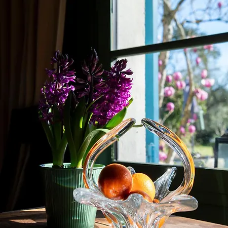 Domaine Du Tafiart Bed & Breakfast