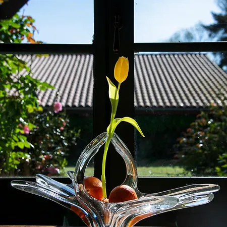 Domaine Du Tafiart Bed & Breakfast 4*