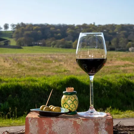 Domaine Du Tafiart Bed & Breakfast